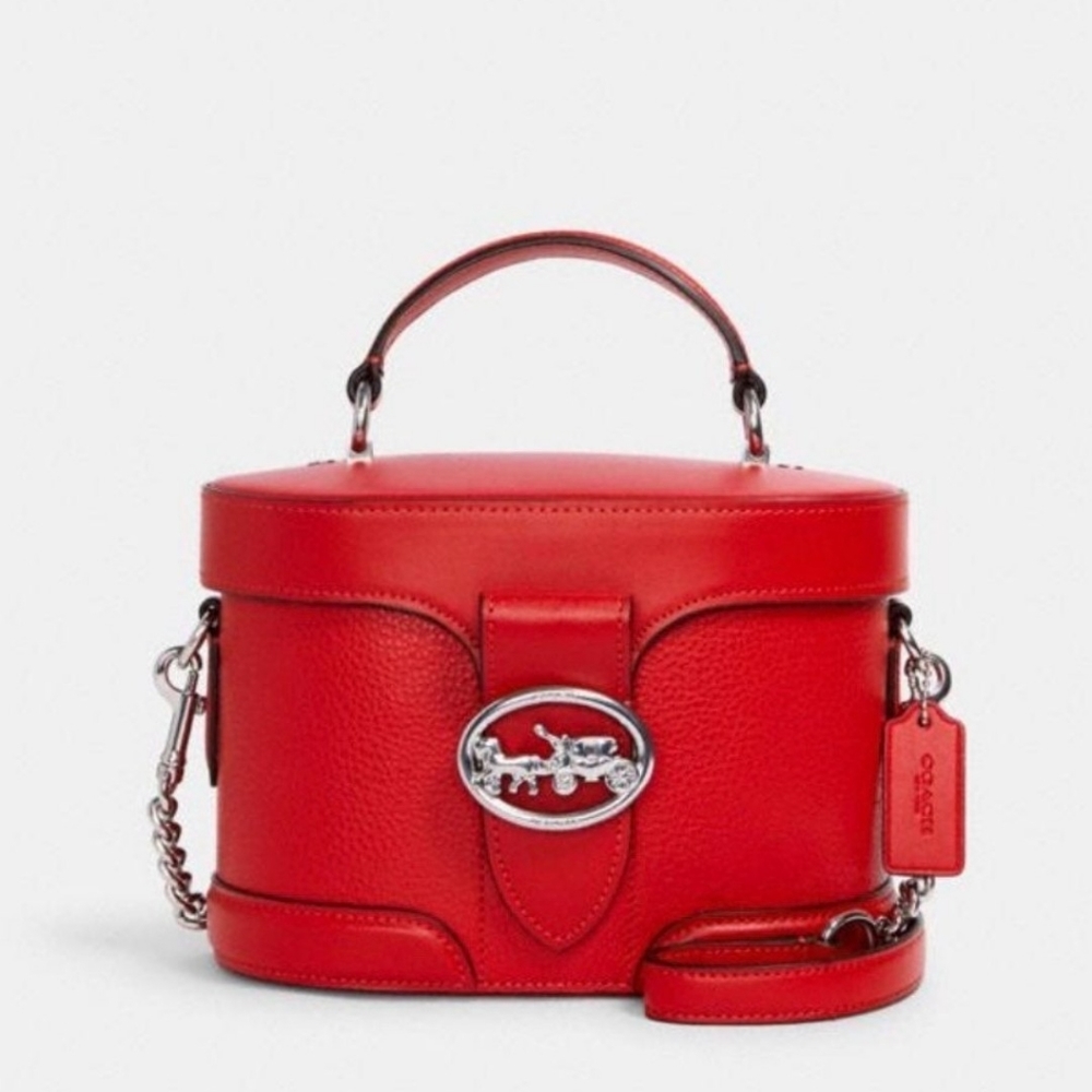 Coach trunk bag